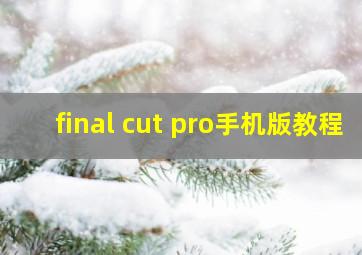 final cut pro手机版教程